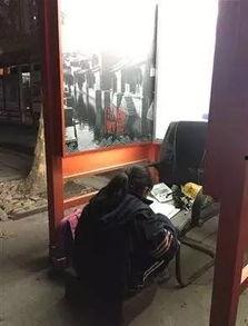 宁波爆料小姑娘事件视频,网络热议的校园疑云揭秘